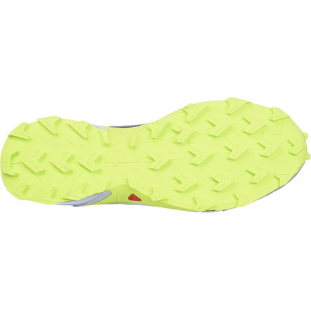 Chaussure Salomon Alphacross 4 GTX Gris/Lime