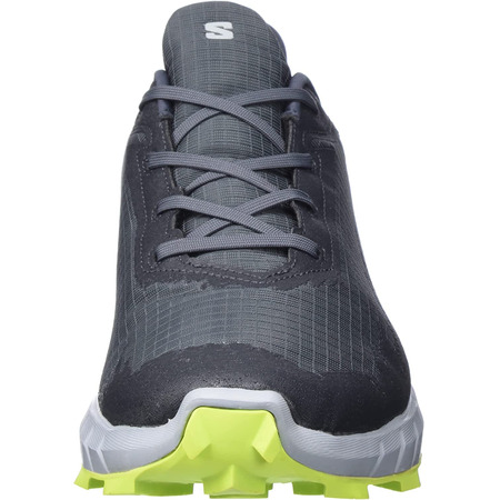 Chaussure Salomon Alphacross 4 GTX Gris/Lime