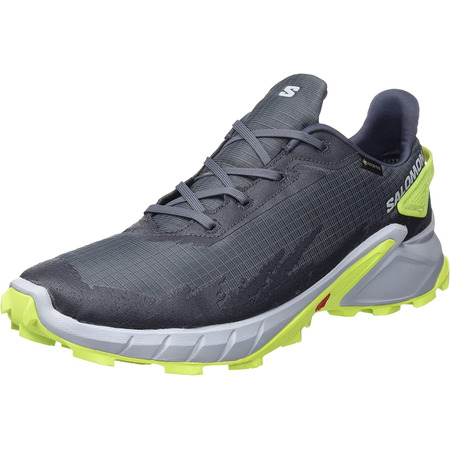 Chaussure Salomon Alphacross 4 GTX Gris/Lime
