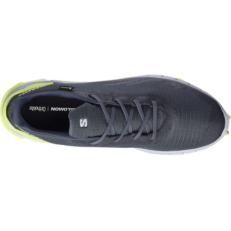 Chaussure Salomon Alphacross 4 GTX Gris/Lime