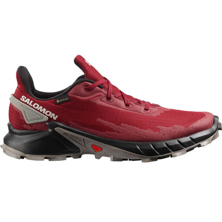 Chaussure Salomon Alphacross 4 GTX Rouge