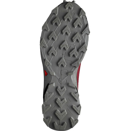 Chaussure Salomon Alphacross 4 GTX Rouge