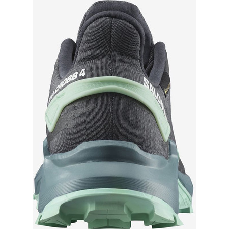 Chaussures Salomon Alphacross 4 GTX W Gris/Turquoise