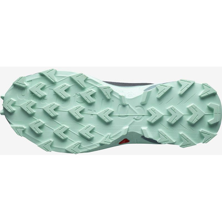 Chaussures Salomon Alphacross 4 GTX W Gris/Turquoise