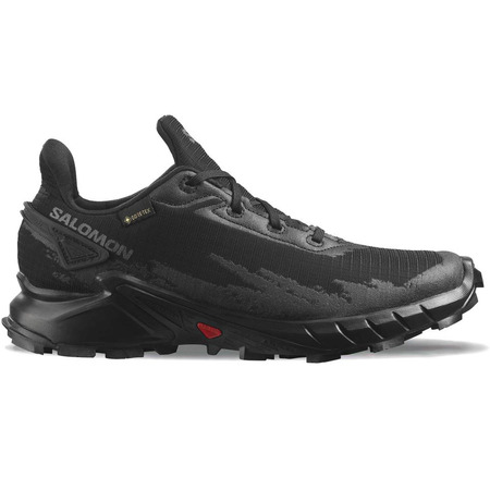 Chaussure Salomon Alphacross 4 GTX W Noir