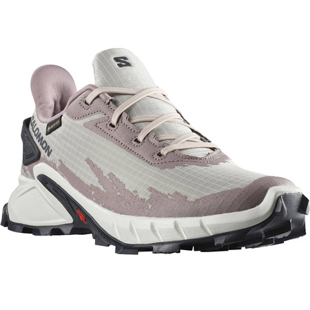 Chaussures Salomon Alphacross 4 GTX W Rose/Gris