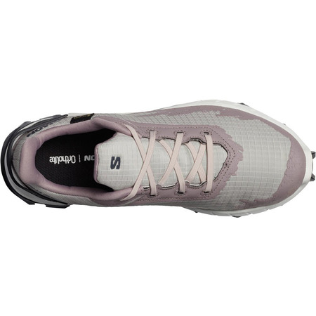 Chaussures Salomon Alphacross 4 GTX W Rose/Gris