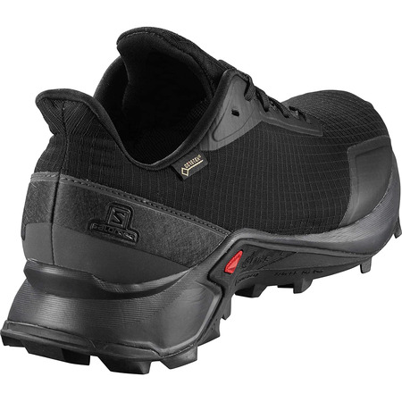 Zapatilla Salomon Alphacross Blast GTX Noir