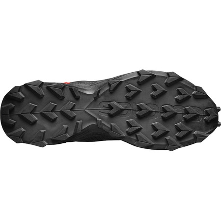Zapatilla Salomon Alphacross Blast Black