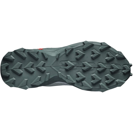 Zapatilla Salomon Alphacross Blast W Vert