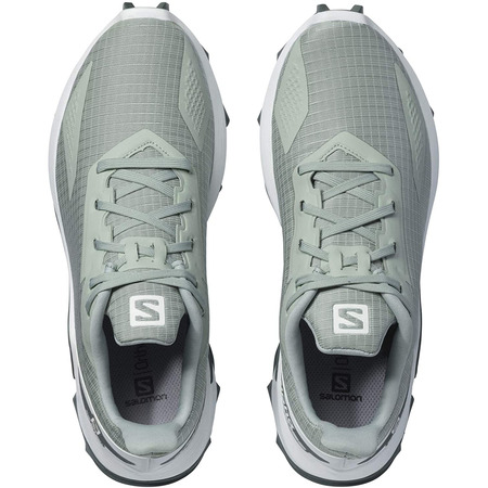 Zapatilla Salomon Alphacross Blast W Vert