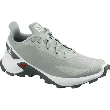 Zapatilla Salomon Alphacross Blast W Vert