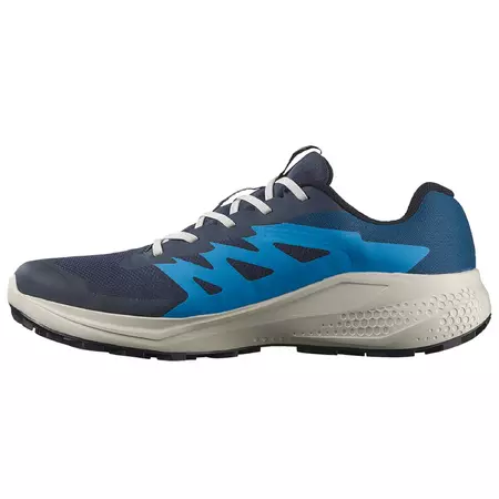 Chaussure Salomon Alphaglide GTX bleue
