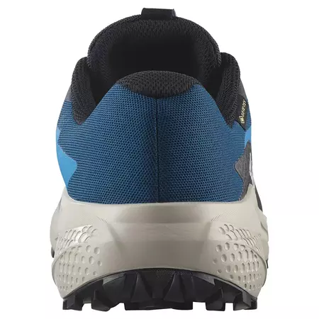 Chaussure Salomon Alphaglide GTX bleue
