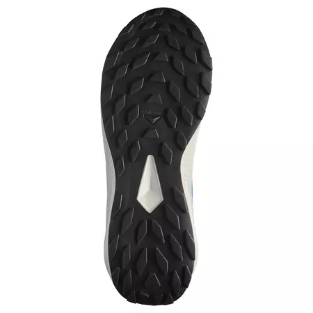 Chaussure Salomon Alphaglide GTX bleue