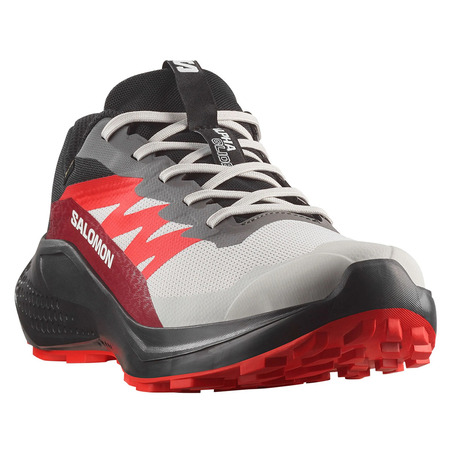 Chaussure de course Salomon Alphaglide GTX Gris/Rouge/Noir