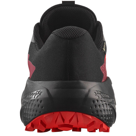 Chaussure de course Salomon Alphaglide GTX Gris/Rouge/Noir