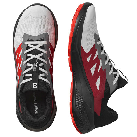 Chaussure de course Salomon Alphaglide GTX Gris/Rouge/Noir