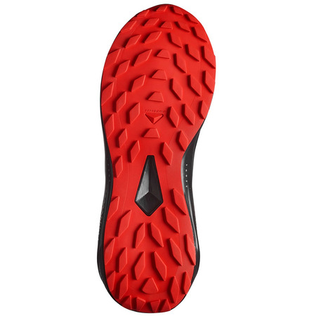 Chaussure de course Salomon Alphaglide GTX Gris/Rouge/Noir