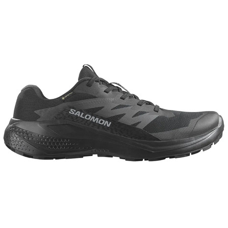 Chaussure Salomon Alphaglide GTX noire