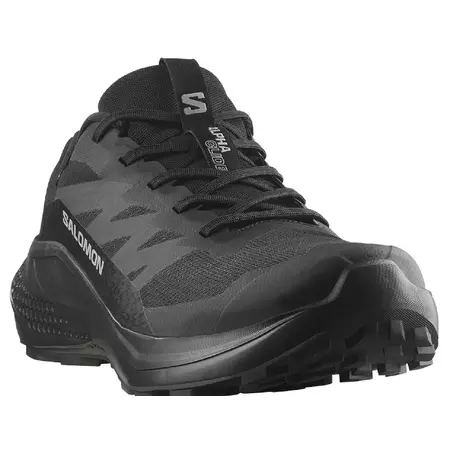 Chaussure Salomon Alphaglide GTX noire