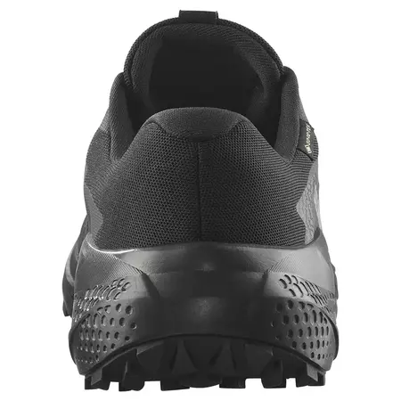 Chaussure Salomon Alphaglide GTX noire