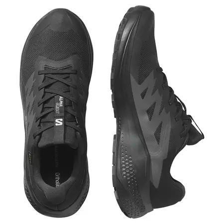 Chaussure Salomon Alphaglide GTX noire