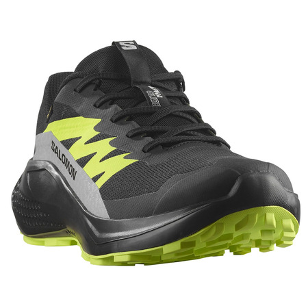 Chaussure de course Salomon Alphaglide GTX Noir/Vert citron
