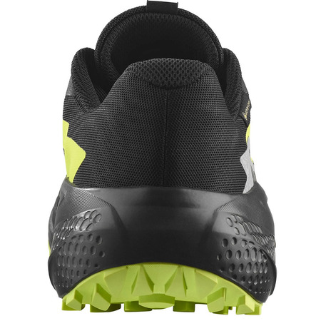 Chaussure de course Salomon Alphaglide GTX Noir/Vert citron