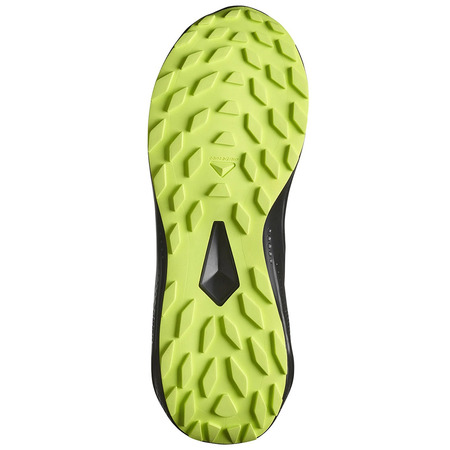 Chaussure de course Salomon Alphaglide GTX Noir/Vert citron