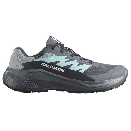 Chaussure Salomon Alphaglide GTX W Gris/Aigue-marine