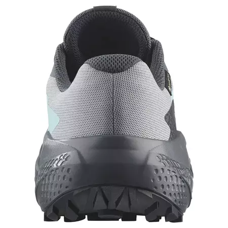 Chaussure Salomon Alphaglide GTX W Gris/Aigue-marine