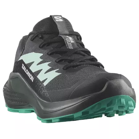 Chaussure Salomon Alphaglide GTX W Noir/Vert