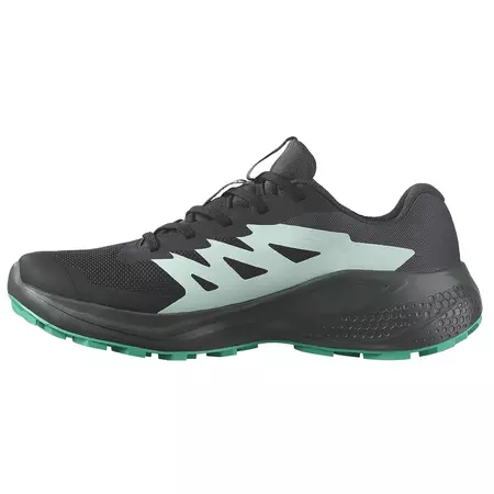 Chaussure Salomon Alphaglide GTX W Noir/Vert