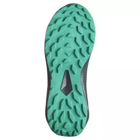 Chaussure Salomon Alphaglide GTX W Noir/Vert