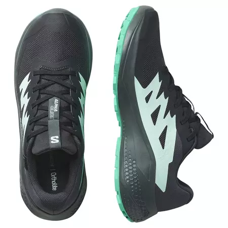 Chaussure Salomon Alphaglide GTX W Noir/Vert