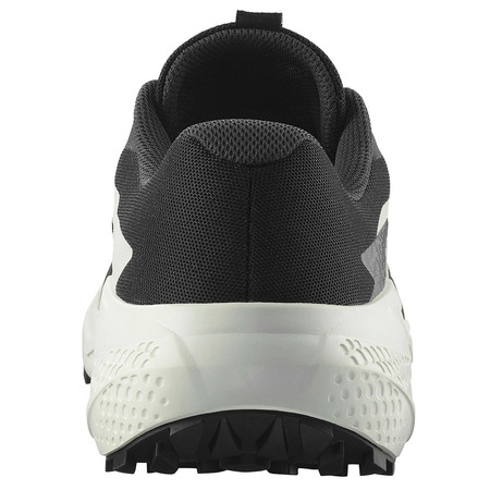 Chaussure de course Salomon Alphaglide Nonir/Blanc