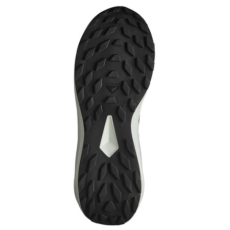 Chaussure de course Salomon Alphaglide Nonir/Blanc