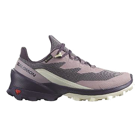 Chaussure Salomon Cross Over 2 GTX W Mauve