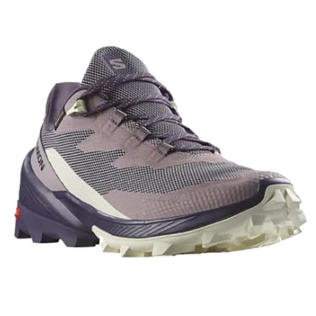 Chaussure Salomon Cross Over 2 GTX W Mauve
