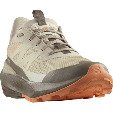 Baskets Salomon Elixir Active W marron/beige