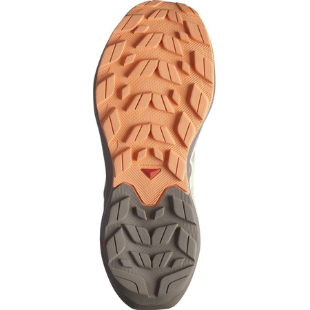 Baskets Salomon Elixir Active W marron/beige