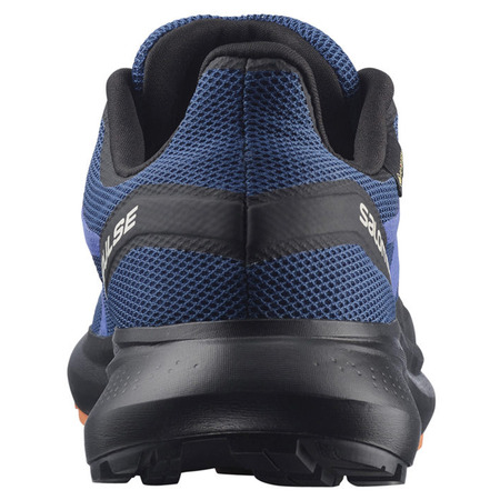 Chaussure Salomon Hypulse GTX Marine/Noir