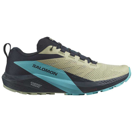 Chaussure Salomon Sense Ride 5 Bleu/Beige