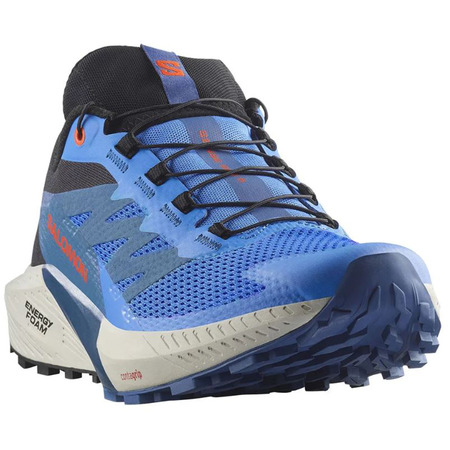 Zapatilla Salomon Sense Ride 5 Bleu/négro