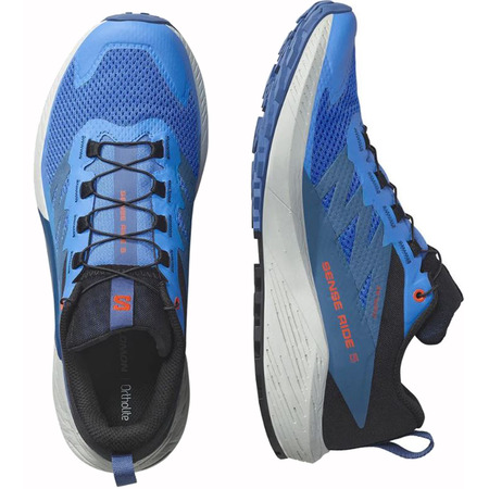 Zapatilla Salomon Sense Ride 5 Bleu/négro