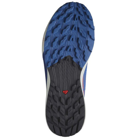 Zapatilla Salomon Sense Ride 5 Bleu/négro