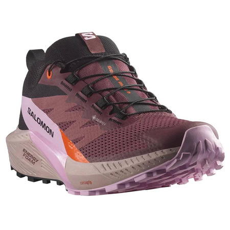 Chaussure de course Salomon Sense Ride 5 GTX Violet/Violet