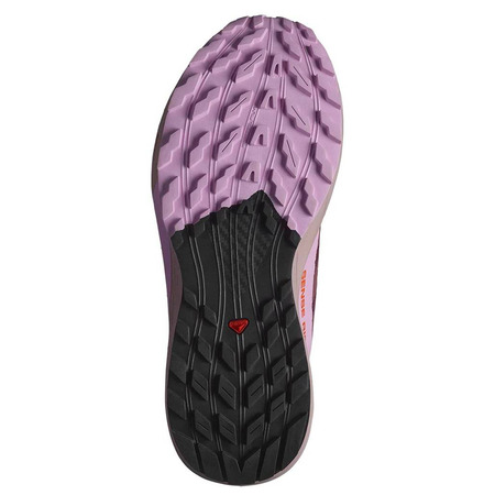Chaussure de course Salomon Sense Ride 5 GTX Violet/Violet