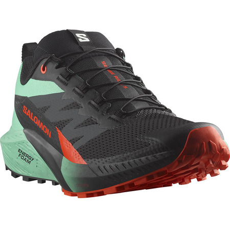 Chaussure Salomon Sense Ride 5 Nonir/Vert/Rouge